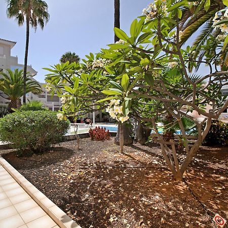 Breeze Island Apartment Chayofa Exterior photo